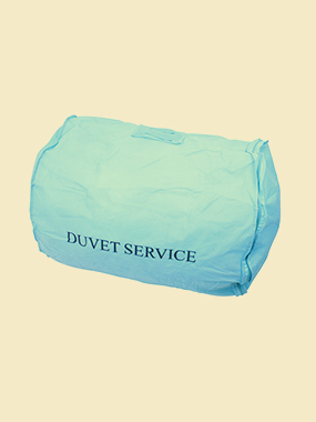 LRG BLUE PRINTED NonWOVEN DuvetBA  